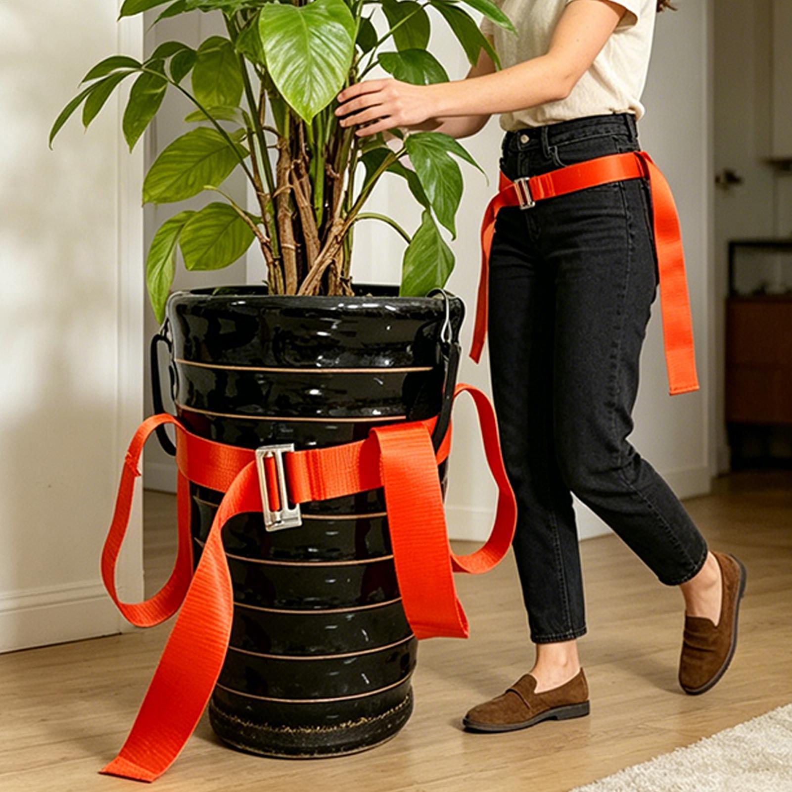 Correa de elevación para paisa - Lifting Belt reseña y precio