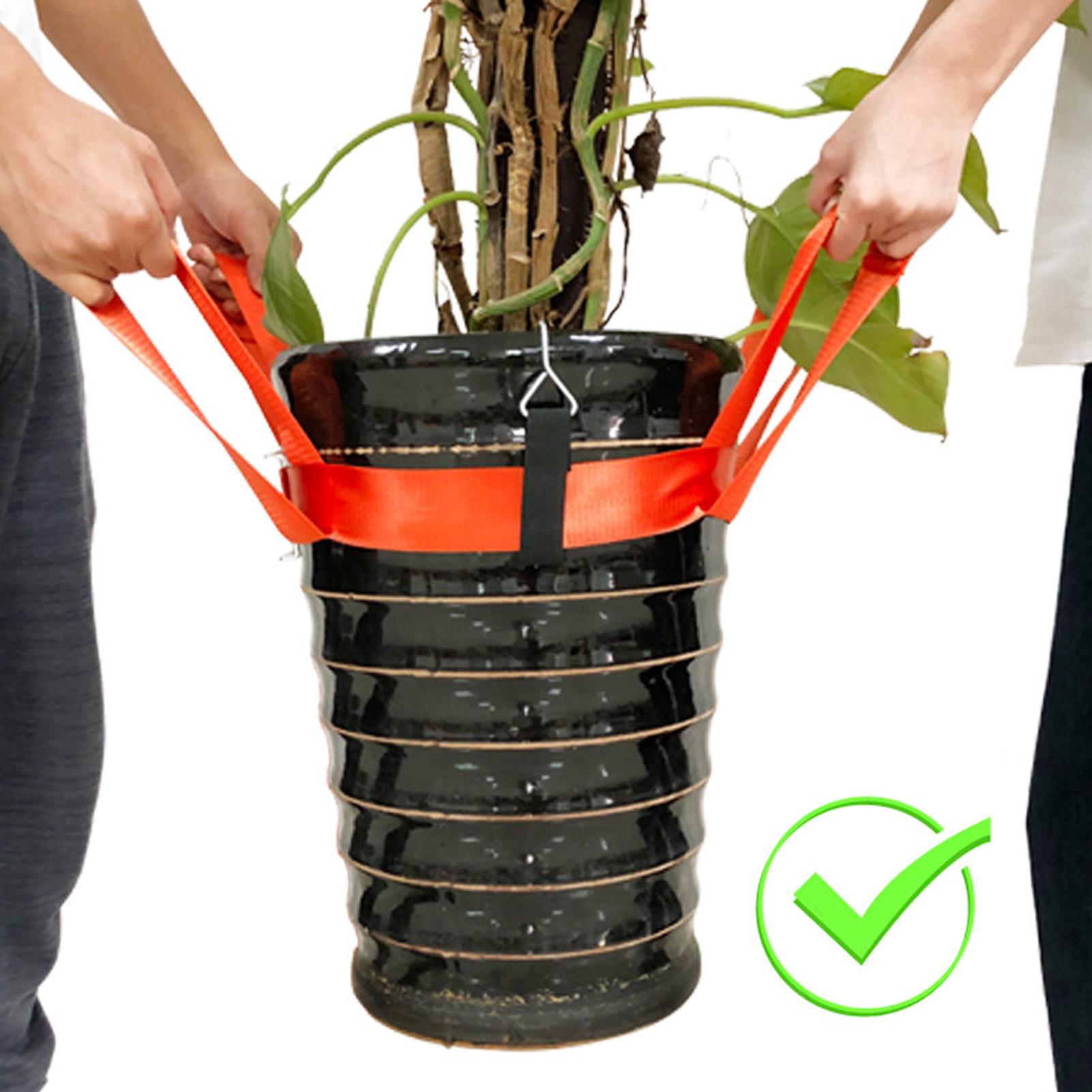 Correa de elevación para paisa - Lifting Belt reseña y precio