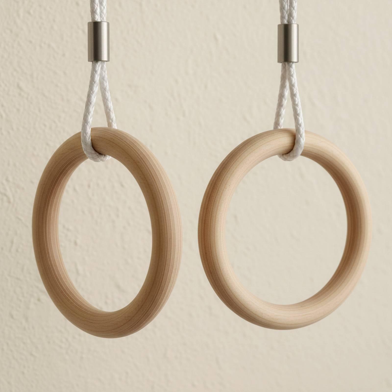 Anillas de Gimnasia Ajustables - Gymnastic Ring reseña y precio